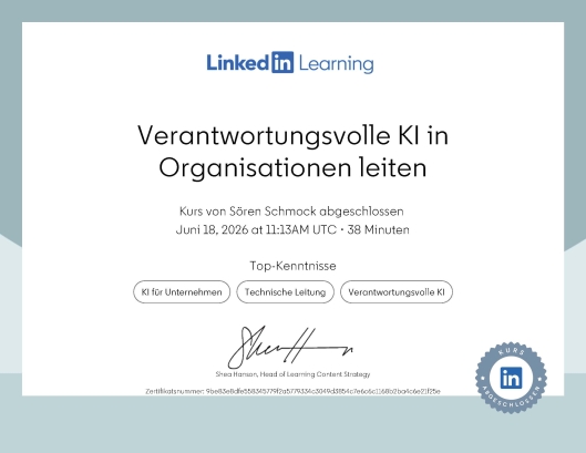 Verantwortungsvolle KI in Organisationen leiten